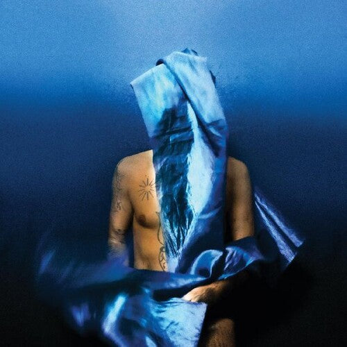 Devendra Banhart: Flying Wig ( LP )