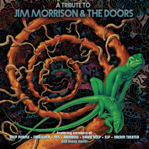 Various Artists: Tribute To Jim Morrison & The Doors (Various Artists) ( LP )