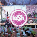 Lush: Lovelife ( LP )