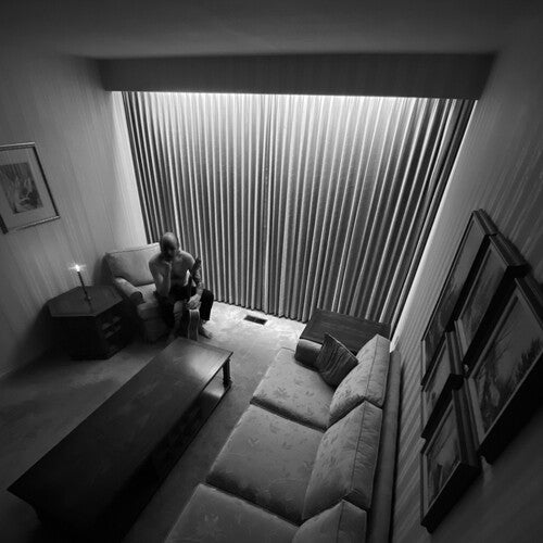 Timber Timbre: Lovage ( LP )