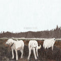 Foxing: The Albatross: Ten Years ( LP )