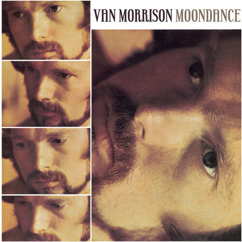 Van Morrison: Moondance ( LP )