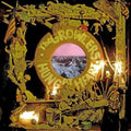 The Growlers: Hung At Heart ( LP )