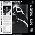 David Jr Lee: Evolution ( LP )