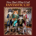 Fantastic Cat: Now That's What I Call Fantastic Cat ( LP )