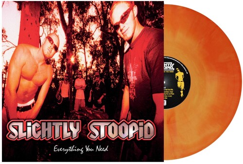 Slightly Stoopid: Everything You Need ( LP )