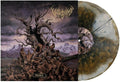 Vulvodynia: Entabeni ( LP )