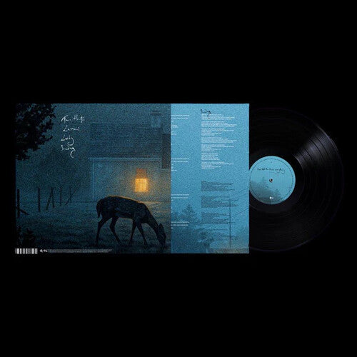 Dermot Kennedy: I've Told The Trees Everything ( LP )