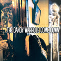 The Dandy Warhols: ...the Dandy Warhols Come Down ( LP )