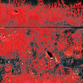 Concrete Winds: Concrete Winds ( LP )