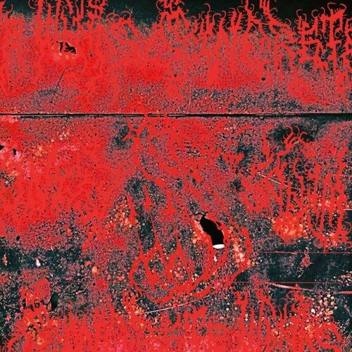 Concrete Winds: Concrete Winds ( LP )