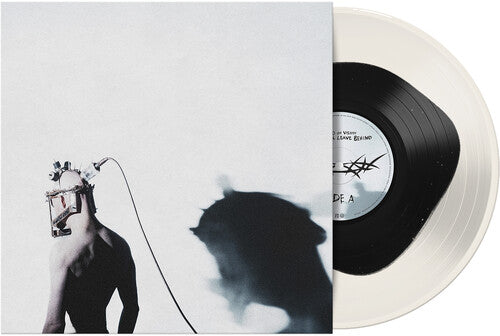 Void Of Vision: What I'll Leave Behind ( LP )