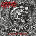 Enforced: Leap Into The Dark ( LP )