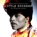 Little Richard: Settin' The Woods On Fire ( LP )