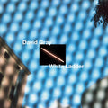 David Gray: White Ladder ( LP )