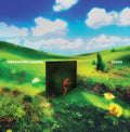 Rainbow Kitten Surprise: bones     (Black Vinyl) ( LP )