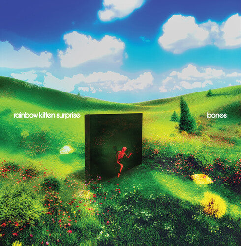 Rainbow Kitten Surprise: bones     (Black Vinyl) ( LP )