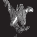Oceansize: Self Preserved While The Bodies Float Up ( LP )