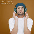 Craig David: Born To Do It ( LP )