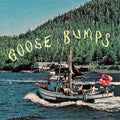 Boyscott: Goose Bumps (BLUE MARBLE VINYL) ( LP )