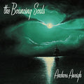 The Bouncing Souls: Anchors Aweigh ( LP )
