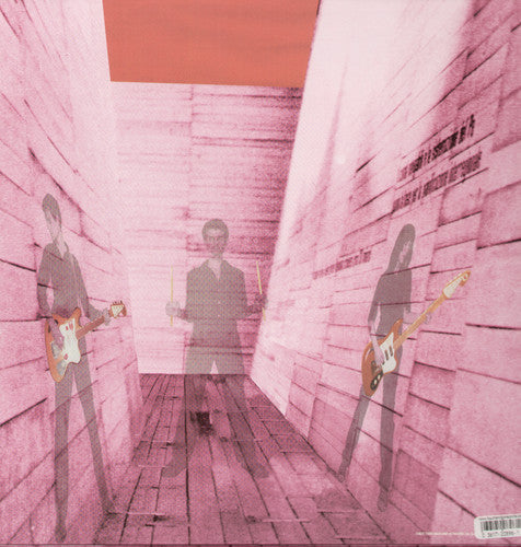 Blonde Redhead: In An Expression of the Inexpressible ( LP )