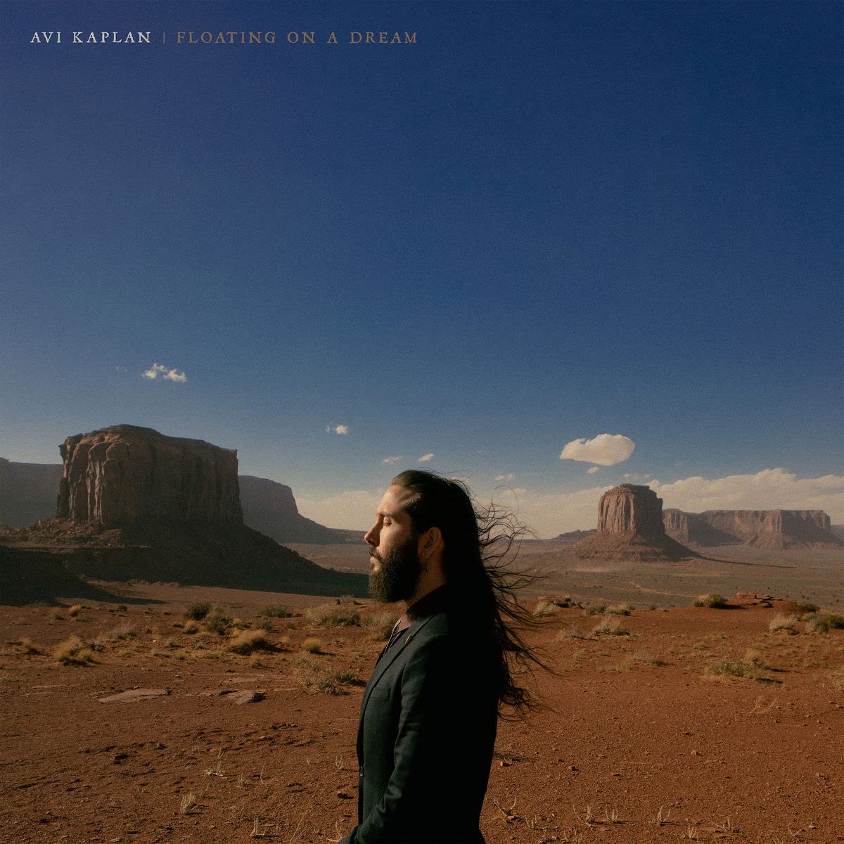 Avi Kaplan: Floating On A Dream ( LP )