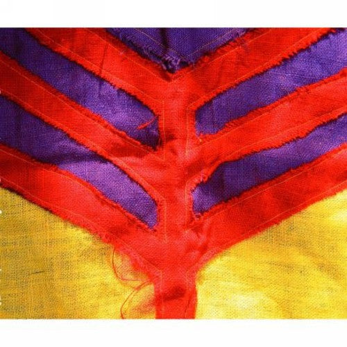 Yeah Yeah Yeahs: Show Your Bones ( LP )