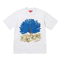 Supreme FW25 Peacock S/S T-Shirt 'Ash Grey' FW25KN96-ASH-GREY