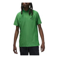 Air Jordan Dri-FIT ADV Sport Golf Polo 'Lucky Green' DZ0548-310