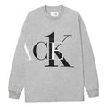Palace X Calvin Klein Long Sleeve Logo T-Shirt 'Grey' P22CKLS004