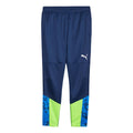 PUMA individualCUP Football Training Pants 'Blue Green' 658487-54