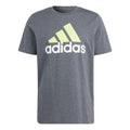 adidas Essentials  Big Logo T-shirt Asia Sizing 'Grey' IJ8578