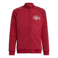 (GS) adidas Collegiate Graphic Pack SST Track Top Asia Sizing 'Burgundy' IJ0758